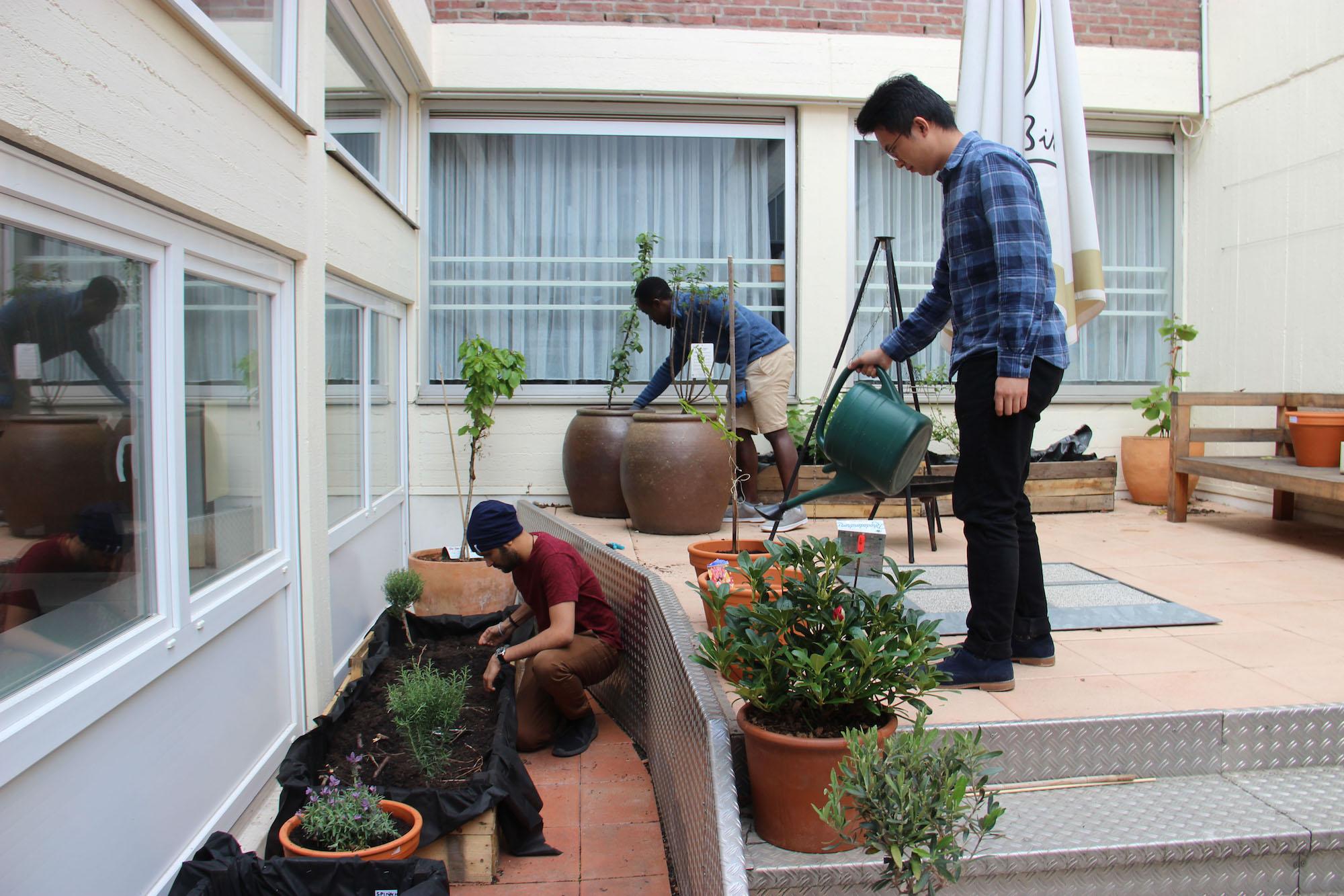 Jeder hilft mit und zusammen mit den Pflanzen wächst auch die Gemeinschaft zwischen den Studierenden.