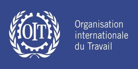 organisation_inter_du_w-600x300 (c) Ilo